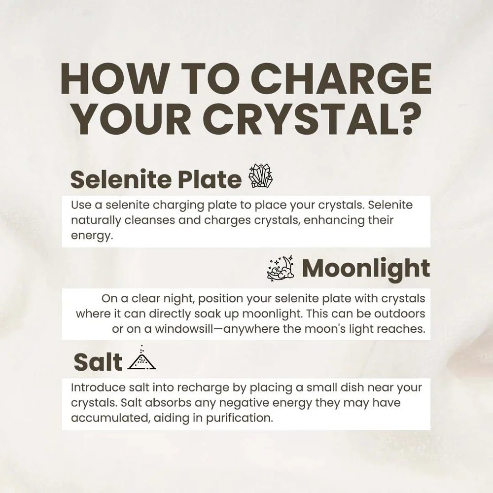 Money Bowl & Money Magnet - Auraly